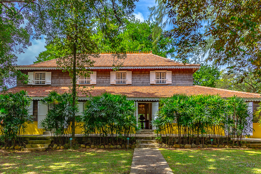 Distillerie activité en Martinique