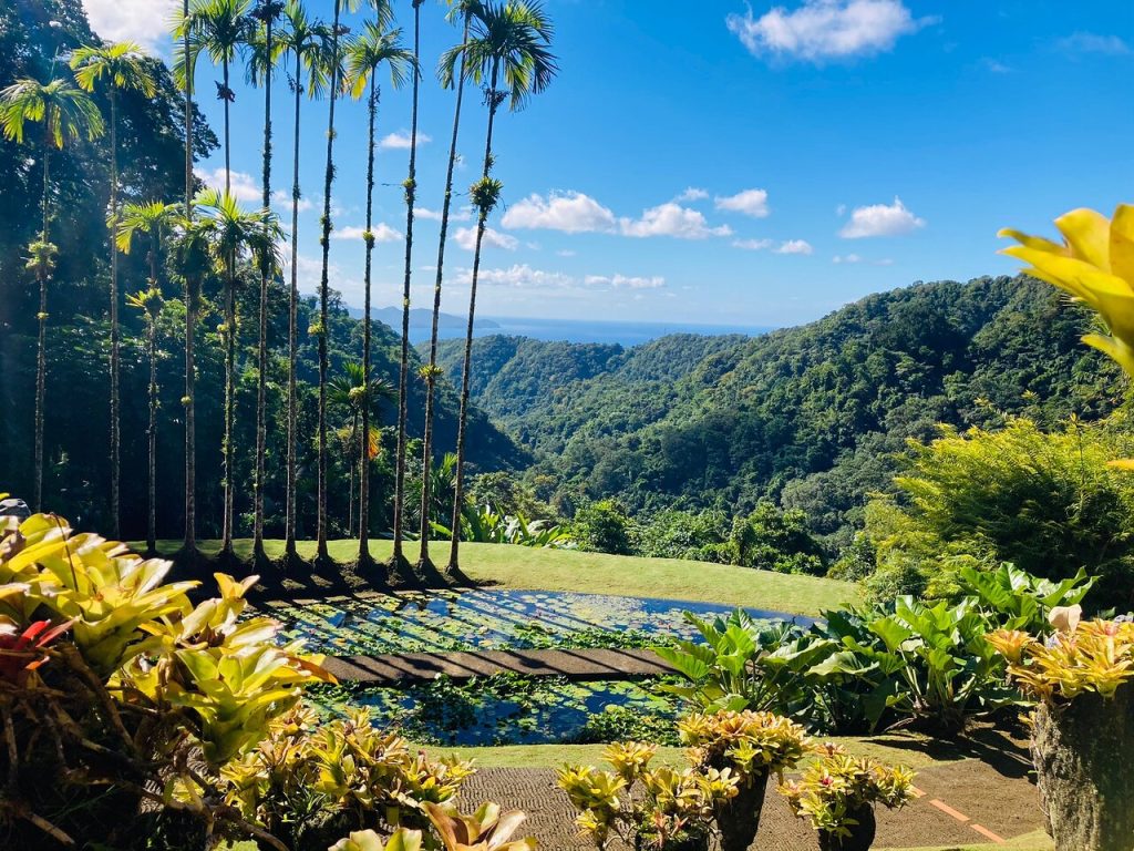 Jardin de Balata activité en Martinique