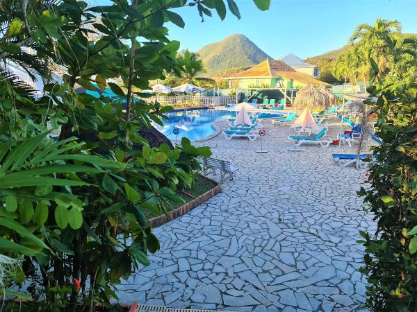 6569e358-2d87-4910-83e4-f436567c0d47