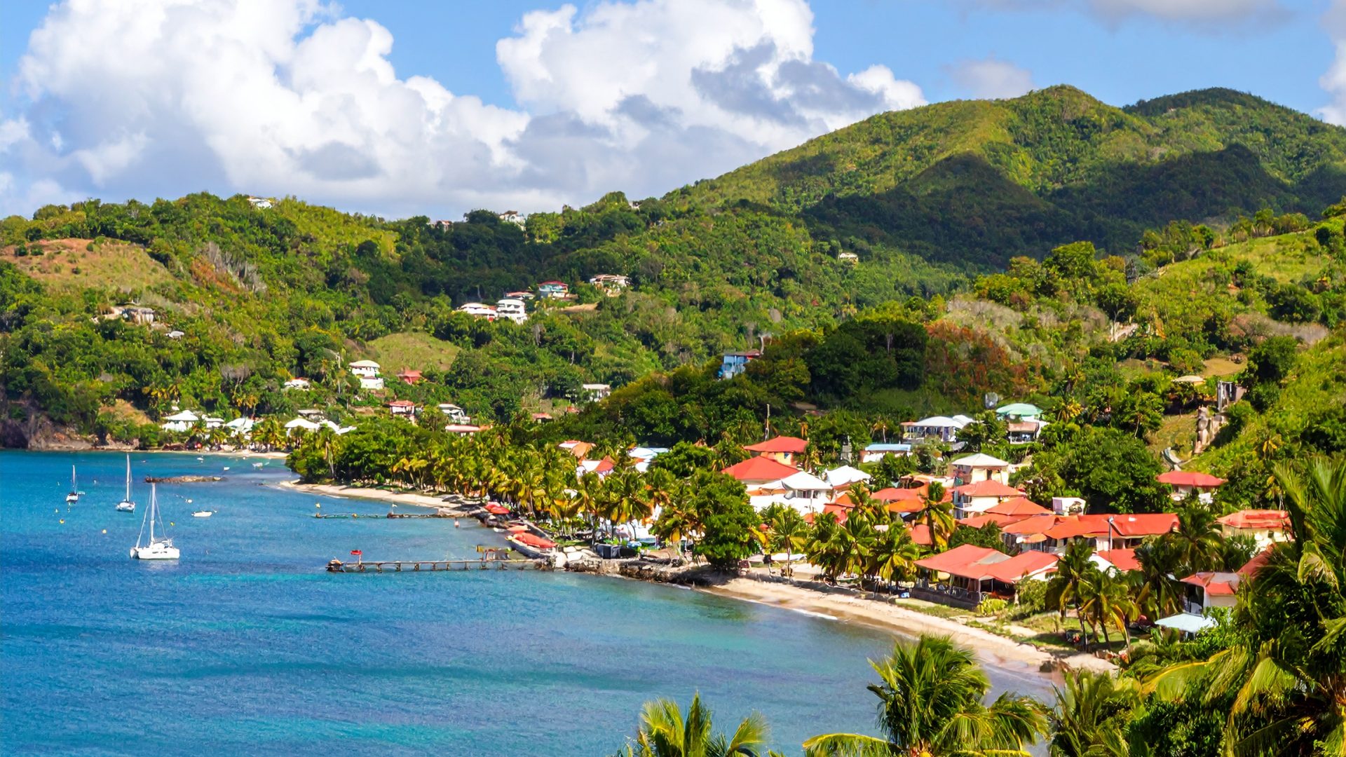 Firefly_Paysage de Martinique avec vue mer, plage bordée de palmiers, collines verdoyantes à 700479