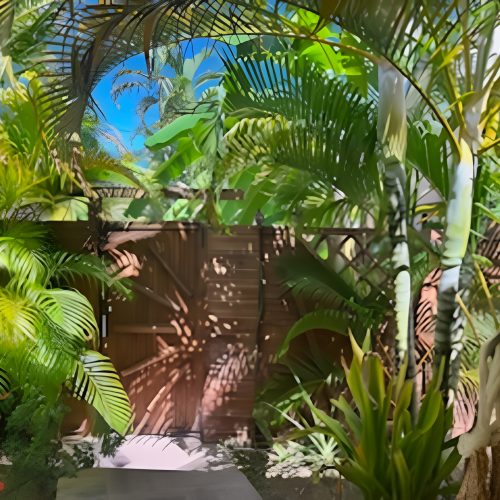 JARDIN 2