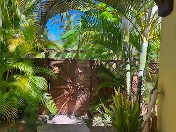 JARDIN 2