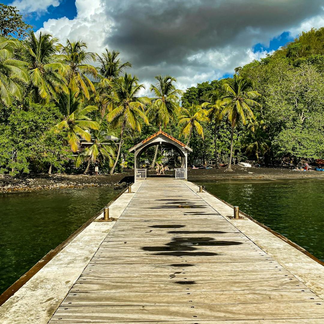 Plage Martinique suivi bien locatif