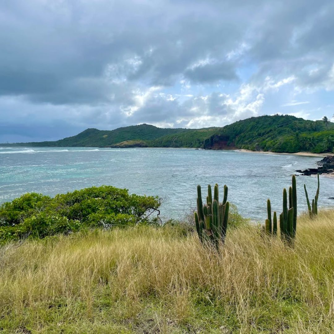 Plage Sainte-Anne Martinique basse saison